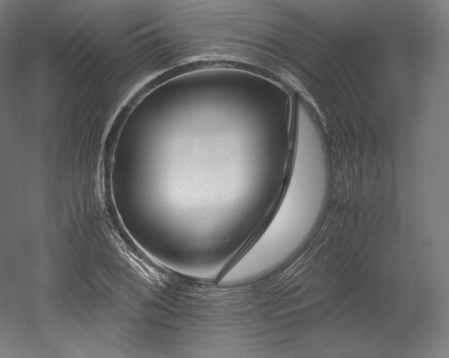 X0000052651076200507011406
