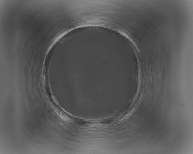 X0000052651077200507011406