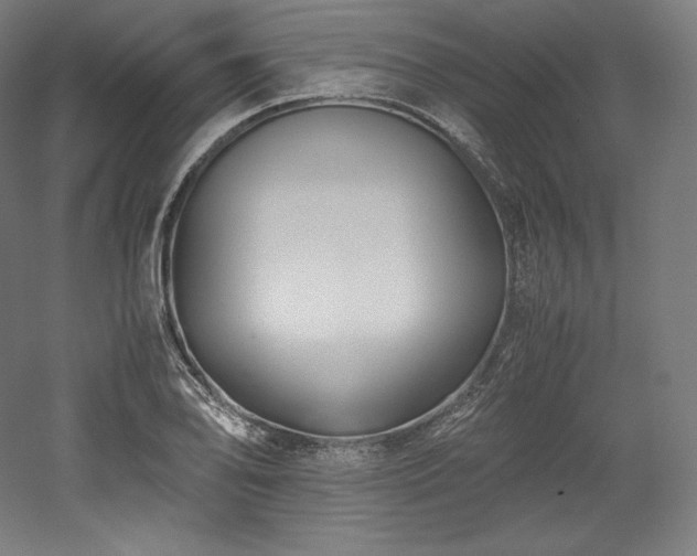 X0000052651078200507011406