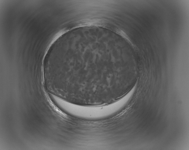 X0000052651079200507011406