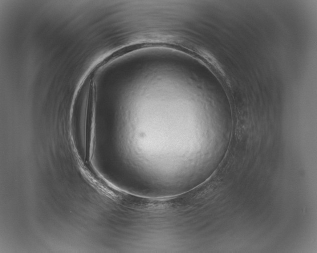 X0000052651080200507011406