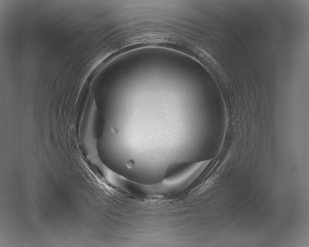X0000052651081200507011406