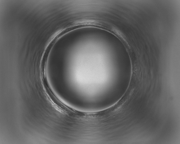 X0000052651082200507011406