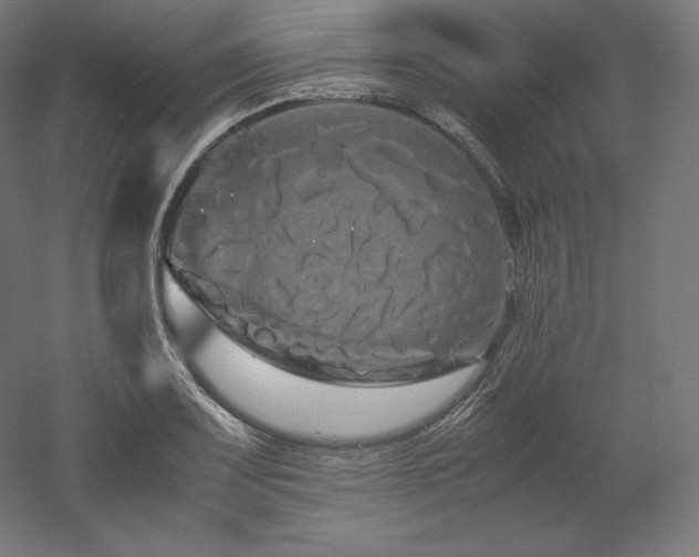 X0000052651083200507011406