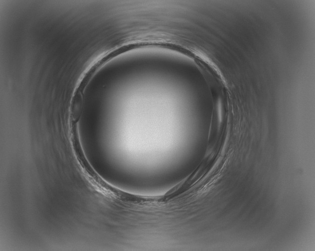 X0000052651085200507011406
