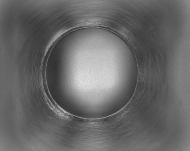 X0000052651086200507011406