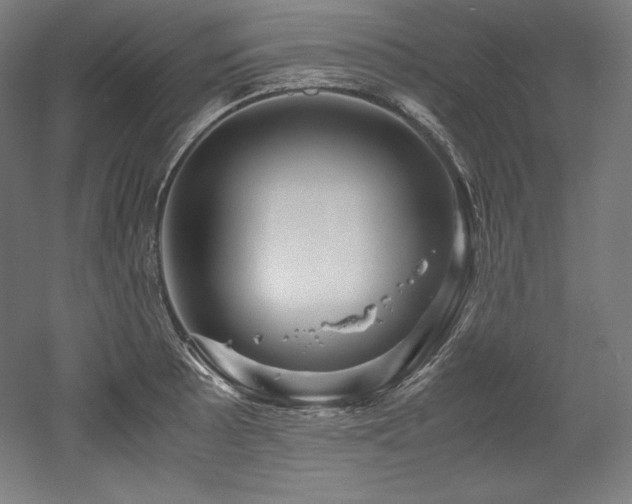X0000052651089200507011406