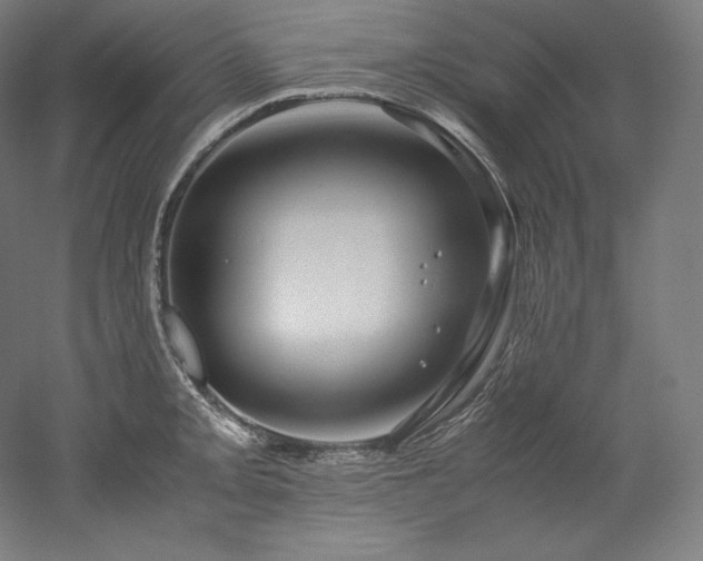 X0000052651093200507011406