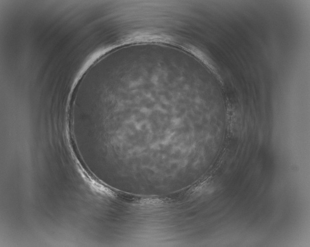 X0000052651094200507011406