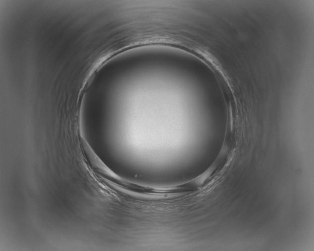 X0000052651097200507011406