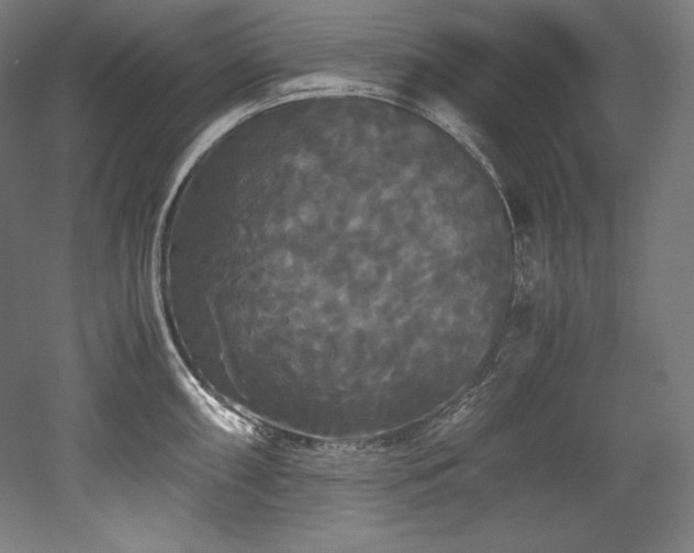 X0000052651098200507011406