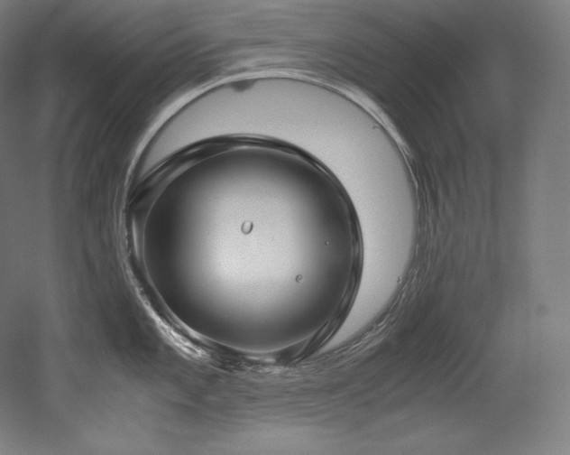 X0000052651101200507011406