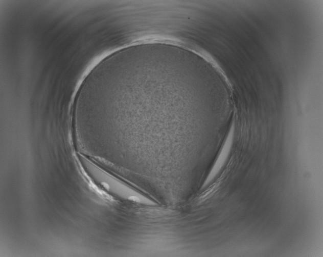 X0000052651102200507011406
