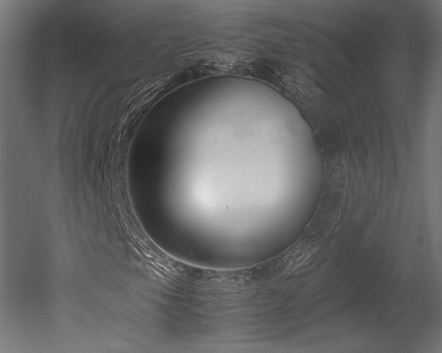 X0000052651105200507011405