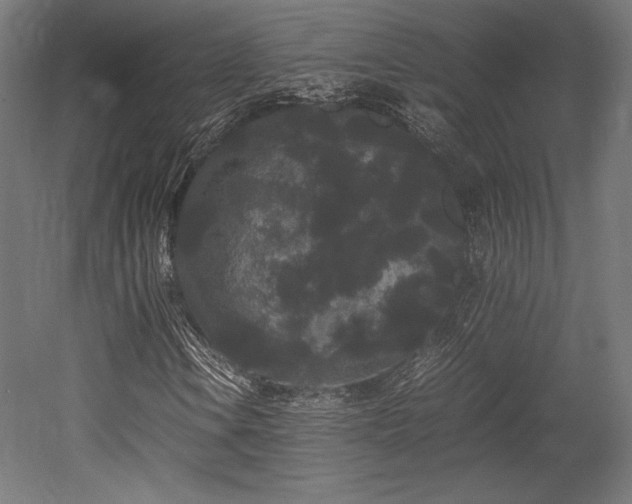 X0000052651106200507011405