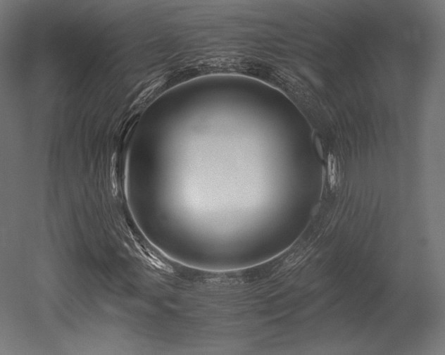 X0000052651107200507011405