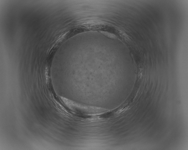 X0000052651108200507011405