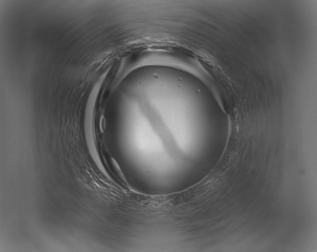 X0000052651110200507011405