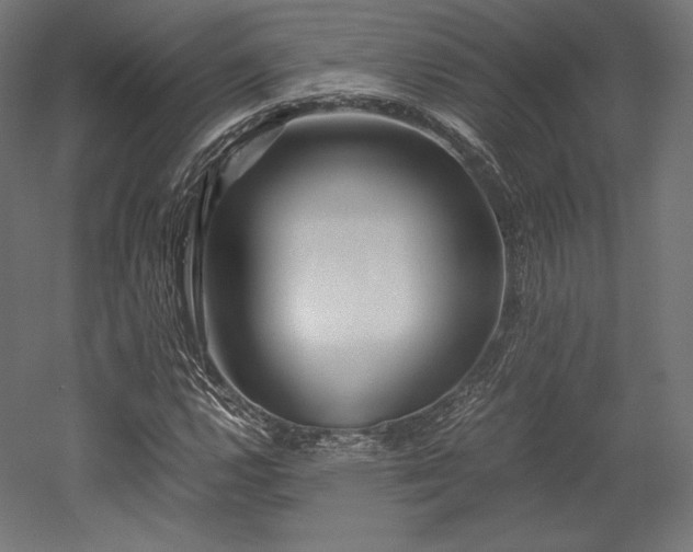 X0000052651112200507011405