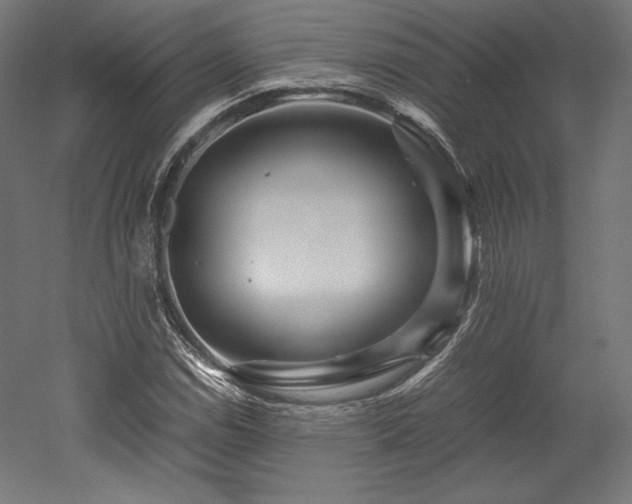 X0000052651114200507011405
