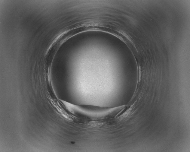 X0000052651115200507011405