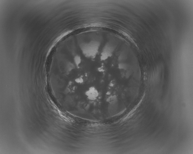 X0000052651117200507011405