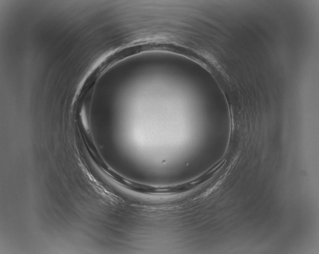 X0000052651118200507011405