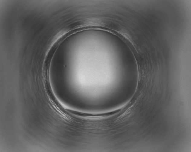X0000052651119200507011405