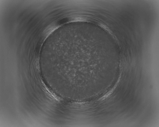 X0000052651121200507011405