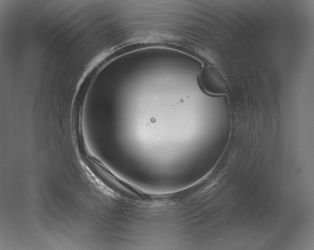 X0000052651122200507011405