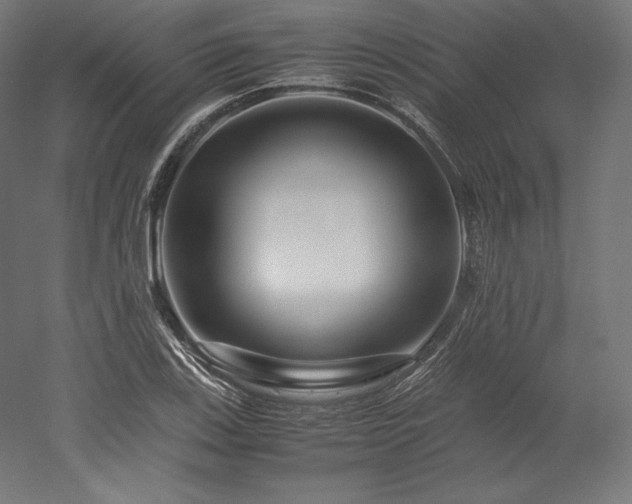 X0000052651123200507011405