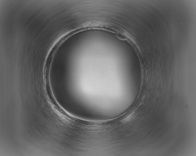 X0000052651124200507011405