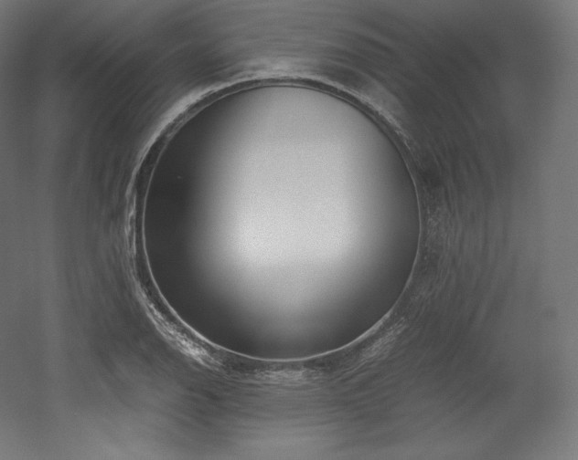 X0000052651126200507011405
