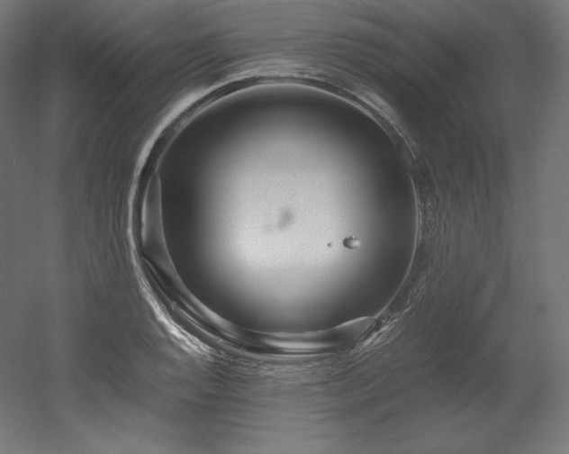 X0000052651128200507011405