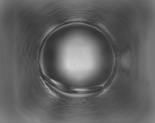 X0000052651129200507011405