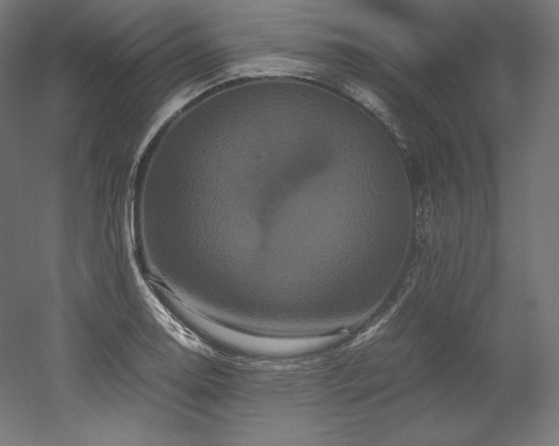 X0000052651130200507011405