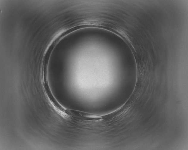 X0000052651131200507011405