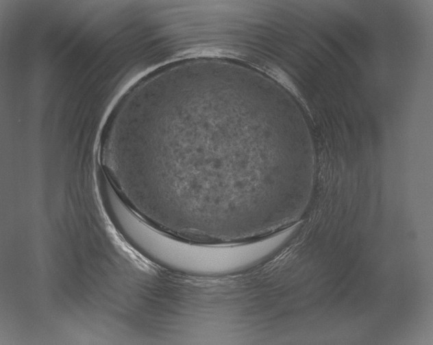 X0000052651132200507011405
