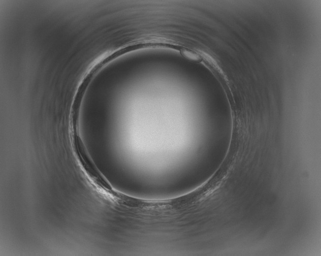 X0000052651133200507011405