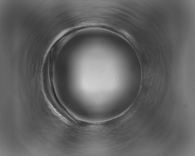 X0000052651134200507011405
