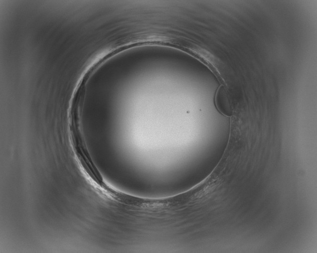 X0000052651135200507011405