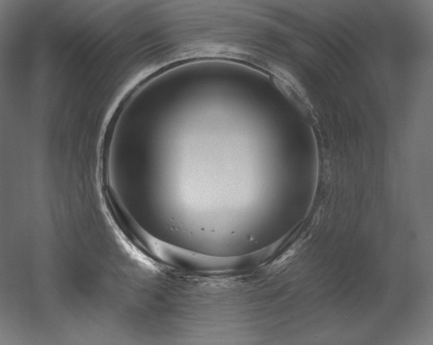 X0000052651136200507011405