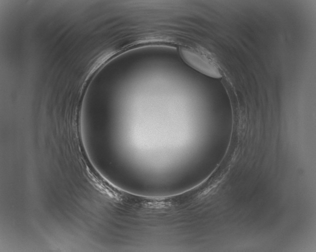 X0000052651137200507011405