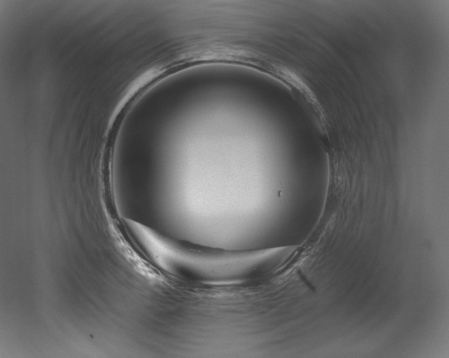 X0000052651138200507011405
