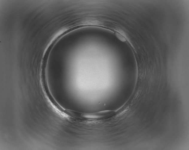 X0000052651139200507011405