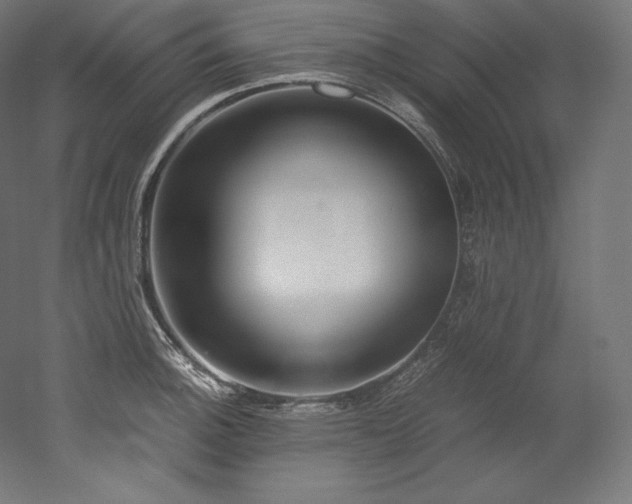 X0000052651140200507011405