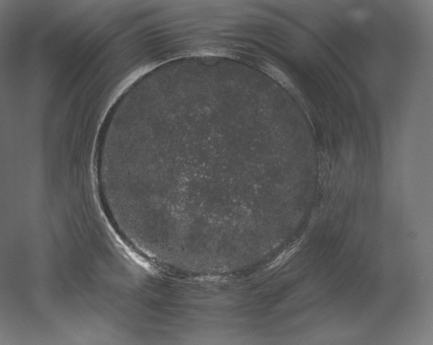 X0000052651141200507011405