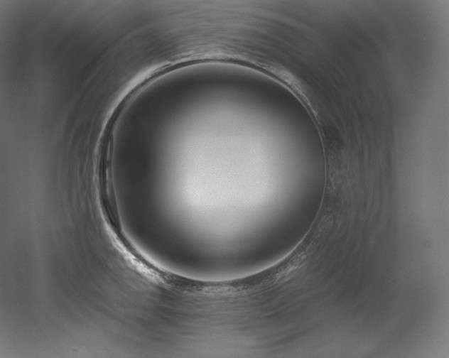 X0000052651142200507011405