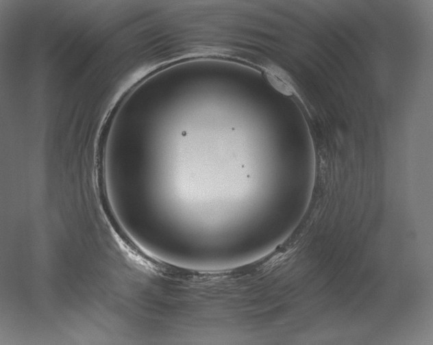 X0000052651143200507011405