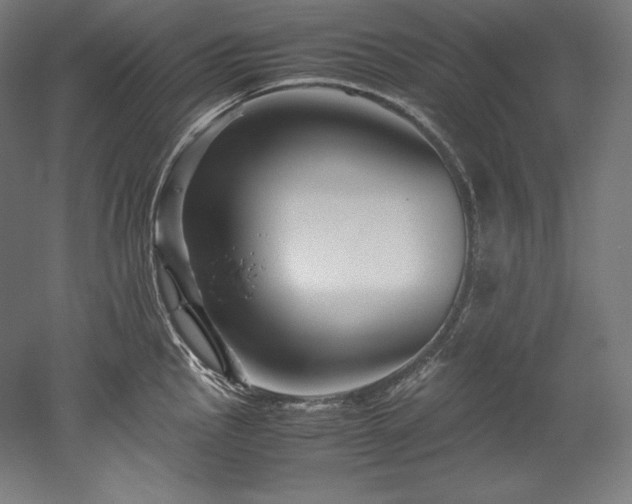 X0000052651145200507011406